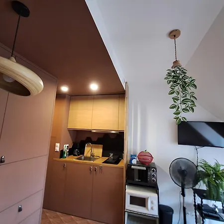 Apartment Studio De Charme Sous Les Toits De *